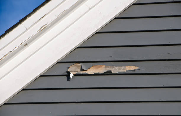 Best Siding Maintenance  in Burnsville, NC