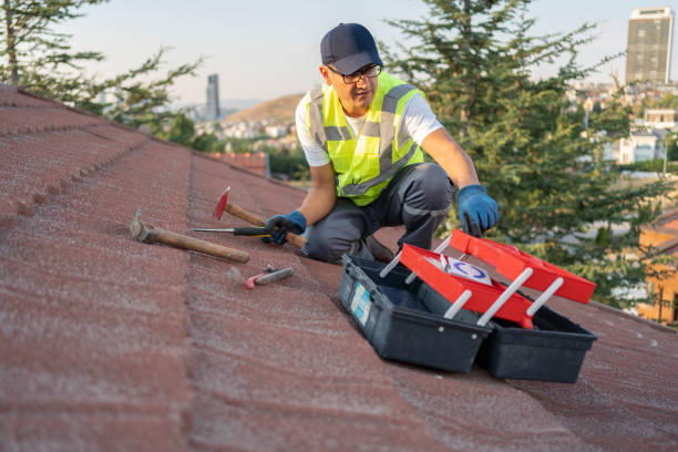 Best Storm Damage Siding Repair  in Burnsville, NC